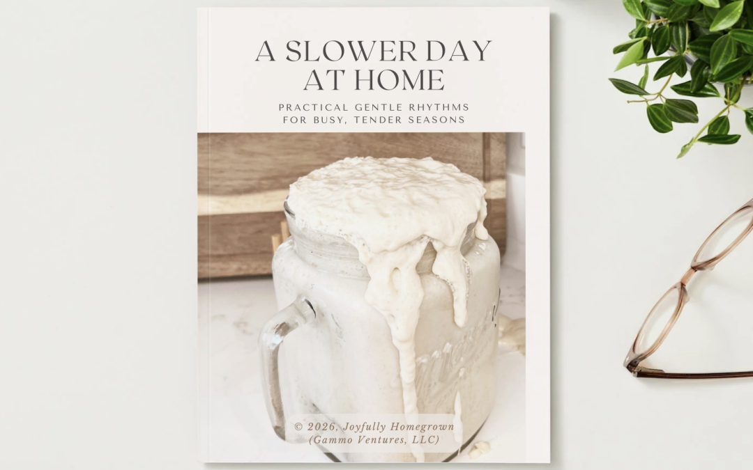 Introducing A Slower Day at Home